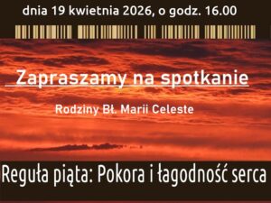 Read more about the article Kolejne spotkanie