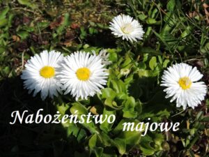 Read more about the article Ogłoszenie