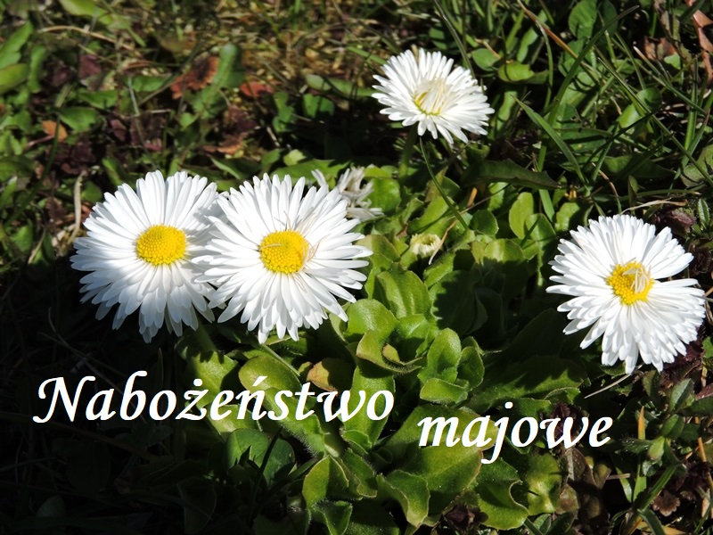 Ogłoszenie